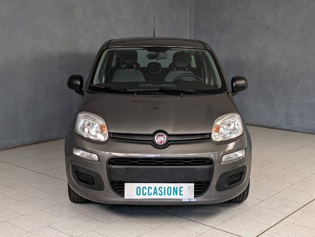 Fiat Panda 1.0 FireFly S&S Hybrid City Life usato a TRECATE