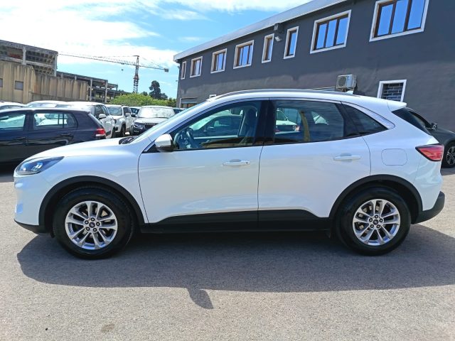 Ford Kuga 1.5 EcoBlue 120 CV aut. 2WD Titanium Business usato a SASSARI
