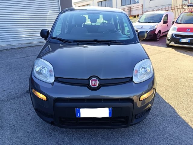Fiat Panda 1.0 FireFly S&S Hybrid - foto 3 di 4