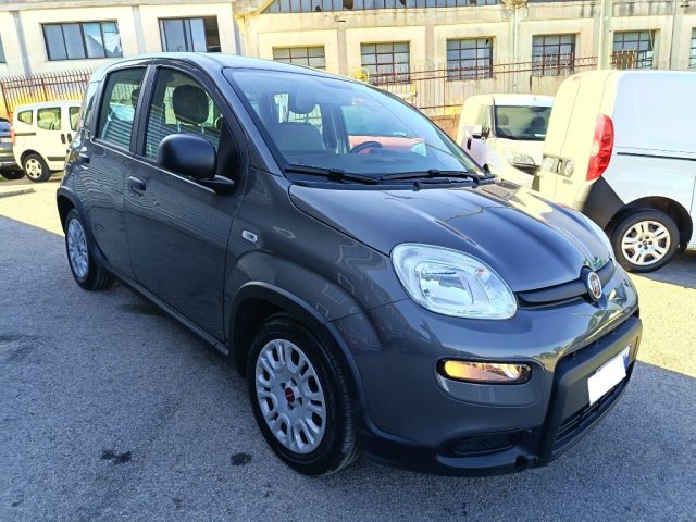 Fiat Panda 1.0 FireFly S&S Hybrid - foto 2 di 4