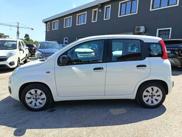 Fiat Panda 1.2 - foto 4 di 4