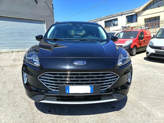 Ford Kuga 2.0 EcoBlue Hybrid 150 CV 2WD Titanium Business - foto 3 di 4