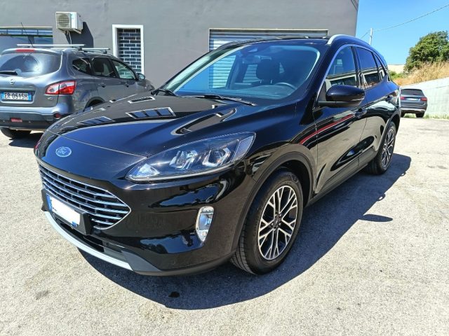 Ford Kuga 2.0 EcoBlue Hybrid 150 CV 2WD Titanium Business usato a SASSARI