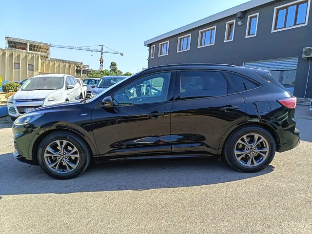Ford Kuga 1.5 EcoBlue 120 CV 2WD ST-Line - foto 4 di 4