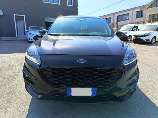 Ford Kuga 1.5 EcoBlue 120 CV 2WD ST-Line - foto 3 di 4