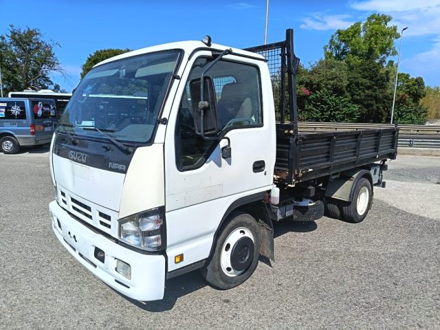 Isuzu NKR 77AE 3.0 TDI PC-RG Cabinato usato a SASSARI