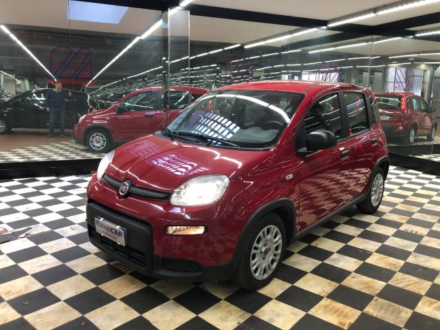 Fiat Panda 1.0 FireFly S&S Hybrid usato a FIRENZE