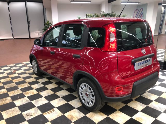 Fiat Panda 1.0 FireFly S&S Hybrid - foto 4 di 4