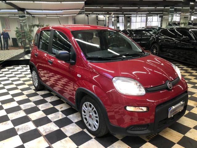 Fiat Panda 1.0 FireFly S&S Hybrid - foto 2 di 4