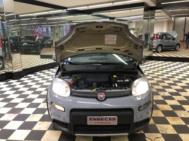 Fiat Panda 1.0 FireFly S&S Hybrid usato a FIRENZE