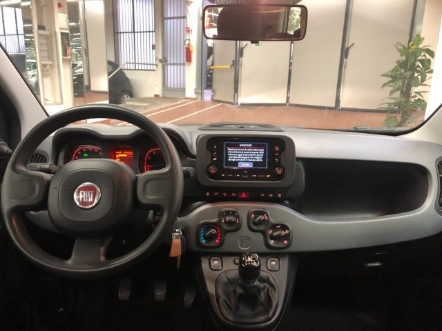 Fiat Panda 1.0 FireFly S&S Hybrid usato a FIRENZE