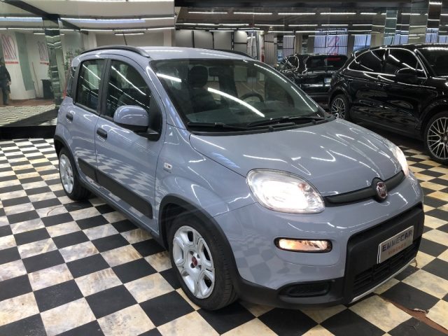 Fiat Panda 1.0 FireFly S&S Hybrid usato a FIRENZE