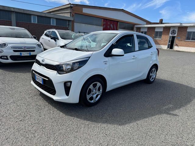 Kia Picanto 1.0 12V EcoGPL 5 porte Cool usato a ALESSANDRIA