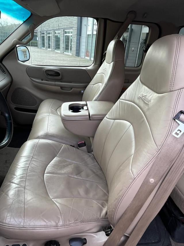 Ford F 150 PICK UP, del 2000, 215.000 km, in vendita a Moncalvo (AT)