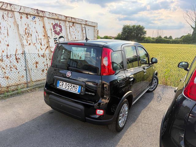 Fiat Panda 1.0 FireFly S&S Hybrid - foto 4 di 4