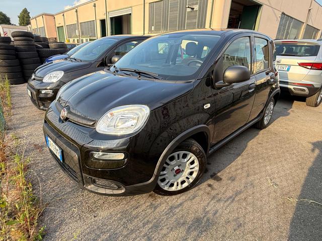 Fiat Panda 1.0 FireFly S&S Hybrid usato a PIANIGA