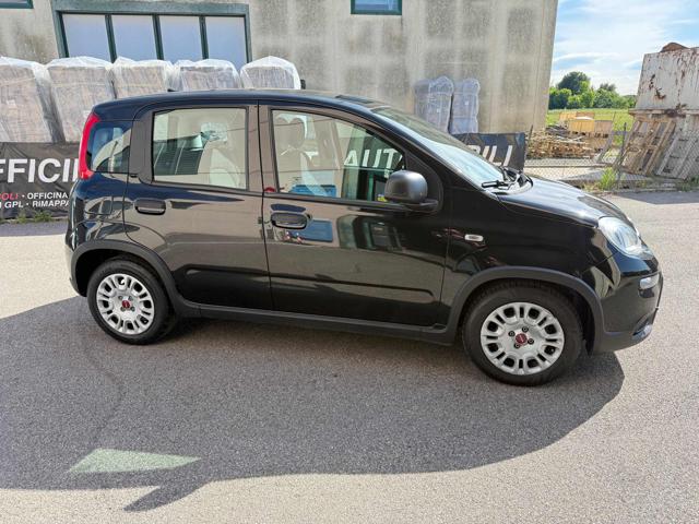Fiat Panda 1.0 FireFly S&S Hybrid usato a PIANIGA