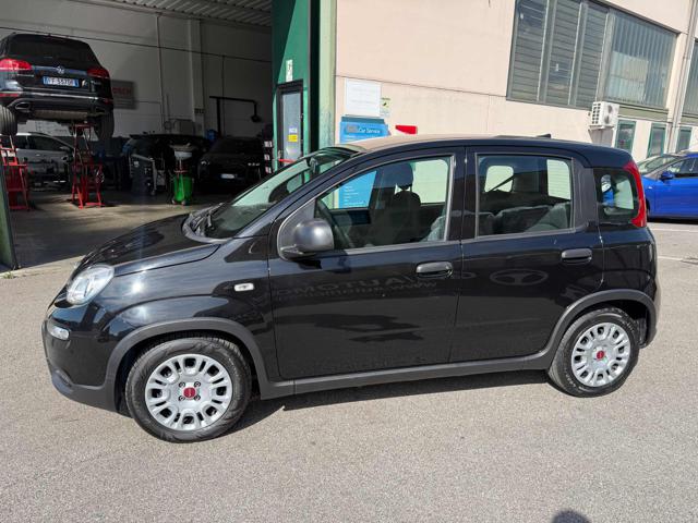 Fiat Panda 1.0 FireFly S&S Hybrid - foto 2 di 4