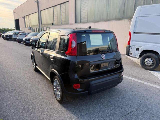 Fiat Panda 1.0 FireFly S&S Hybrid PREZZO REALE!!! - foto 4 di 4