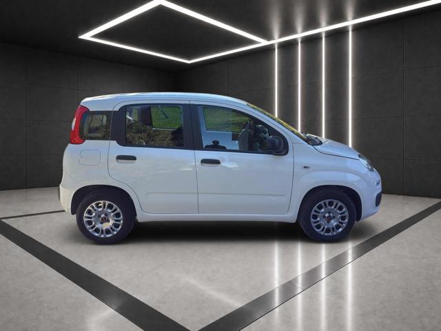 Fiat Panda 1.2 Easy PREZZO REALE !!! - foto 4 di 4