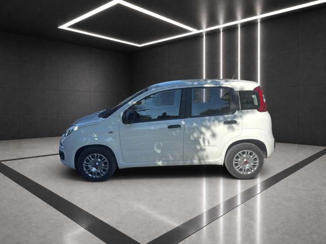 Fiat Panda 1.2 Easy PREZZO REALE !!! - foto 3 di 4