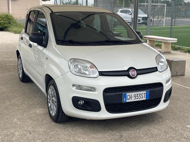 Fiat Panda 1.0 FireFly S&S Hybrid Euro 6D usato a FIUMICINO