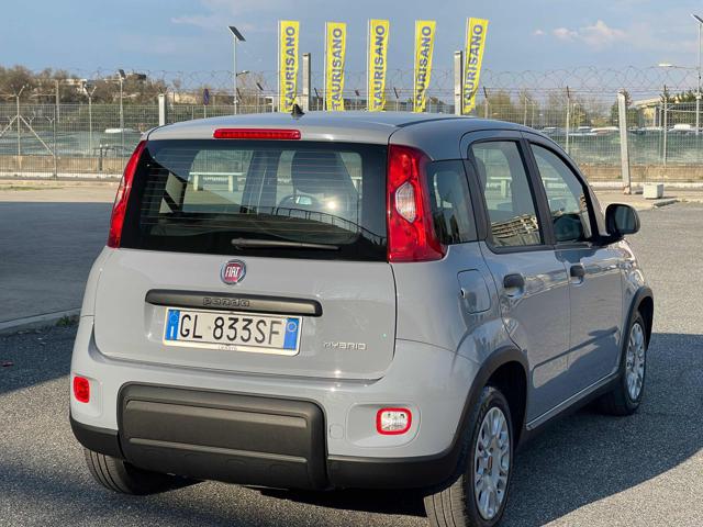 Fiat Panda 1.0 FireFly S&S Hybrid 6 marce Euro6D usato a FIUMICINO