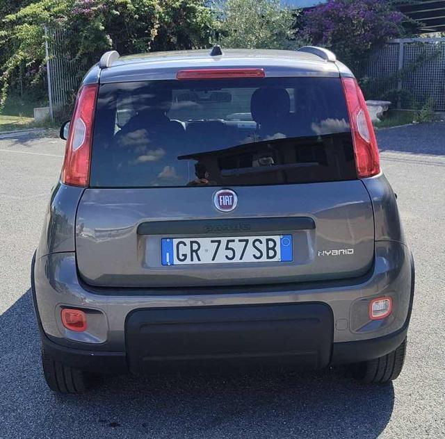 Fiat Panda 1.0 FireFly S&S Hybrid, del 2023, 49.395 km, in vendita a Fiumicino (RM)