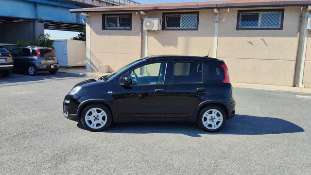 Fiat Panda 1.0 FireFly S&S Hybrid City Life 6 Marce, del 2023, 52.407 km, in vendita a Fiumicino (RM)