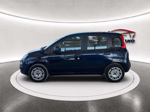 Fiat Panda 1.0 FireFly S&S Hybrid 6 Marce Euro 6D - foto 4 di 4