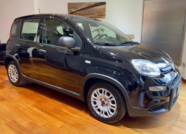 Fiat Panda 1.0 FireFly S&S Hybrid City Life, del 2023, 80.000 km, in vendita a Afragola (NA)