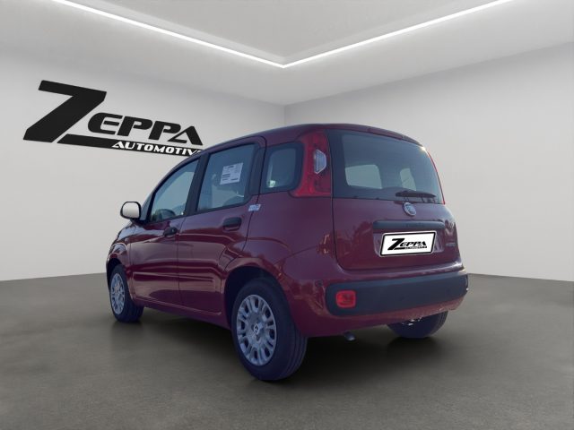 Fiat Panda 1.0 FireFly S&S Hybrid Icon - foto 4 di 4