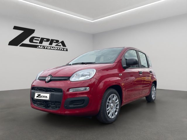 Fiat Panda 1.0 FireFly S&S Hybrid Icon km 0 a VAIRANO PATENORA