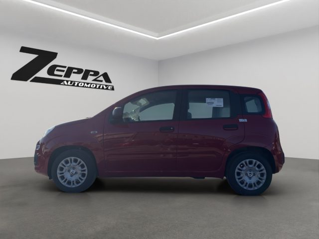 Fiat Panda 1.0 FireFly S&S Hybrid Icon - foto 3 di 4