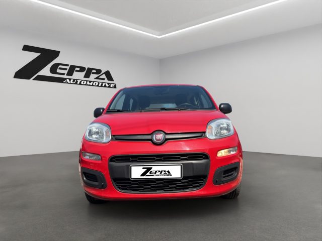 Fiat Panda 1.0 FireFly S&S Hybrid usato a VAIRANO PATENORA