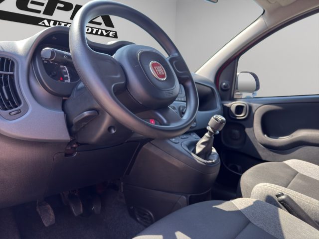 Fiat Panda 1.0 FireFly S&S Hybrid usato a VAIRANO PATENORA