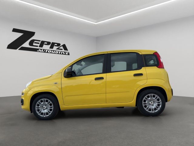 Fiat Pandina 1.0 FireFly 65 CV Hybrid Pop - foto 2 di 4