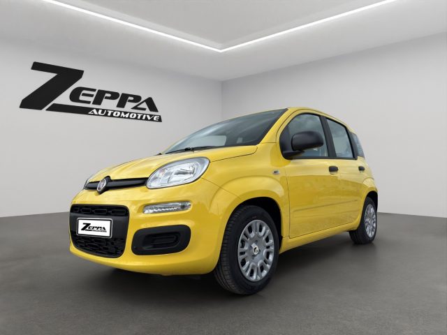 Fiat Pandina 1.0 FireFly 65 CV Hybrid Pop km 0 a VAIRANO PATENORA
