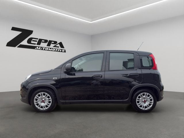 Fiat Panda 1.0 FireFly S&S Hybrid - foto 3 di 4