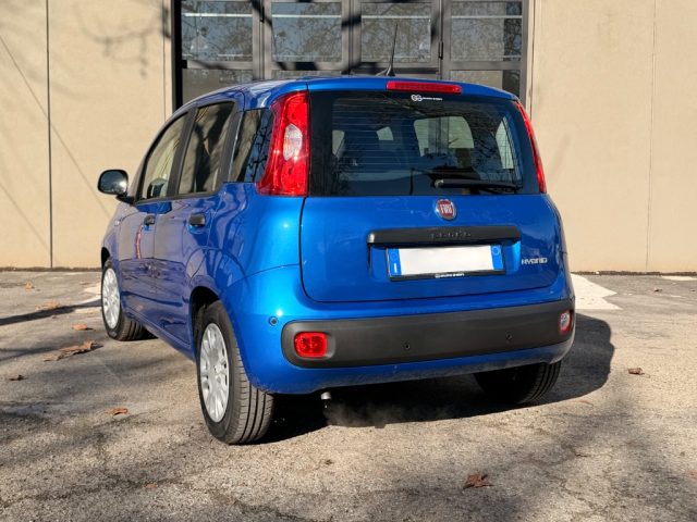 Fiat Panda 1.0 FireFly S&S Hybrid Icon usato a BOLOGNA