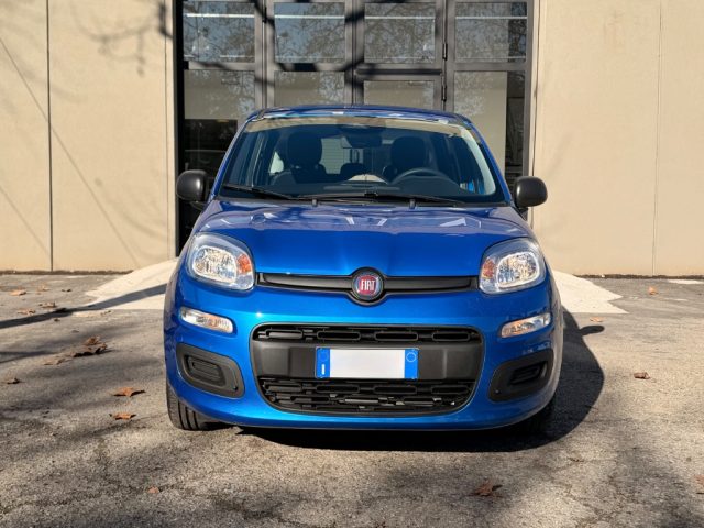 Fiat Panda 1.0 FireFly S&S Hybrid Icon - foto 2 di 4