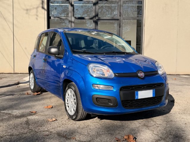 Fiat Panda 1.0 FireFly S&S Hybrid Icon usato a BOLOGNA