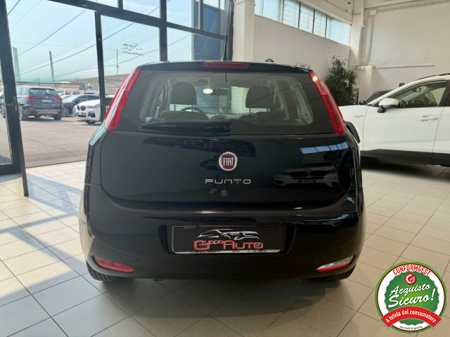 Fiat Punto 1.2 8V 5 porte Street - foto 4 di 19