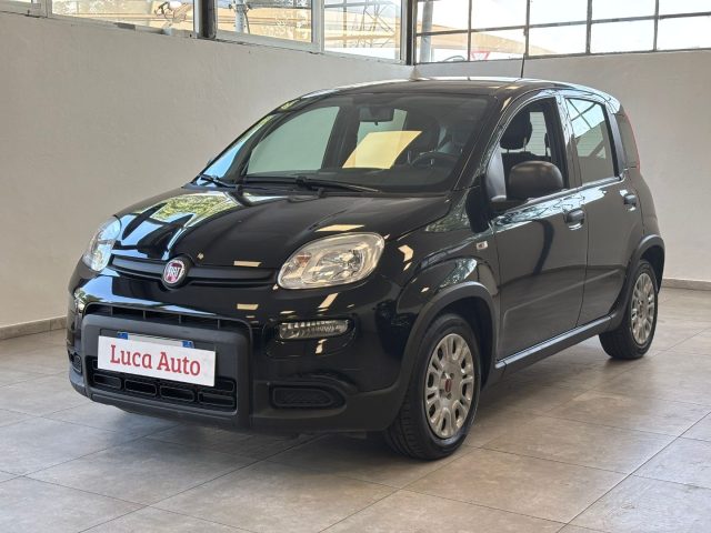 Fiat Panda 1.0 FireFly S&S Hybrid *UNICO PROPRIETARIO* usato a COLOGNO MONZESE