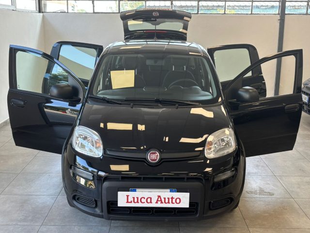 Fiat Panda 1.0 FireFly S&S Hybrid *UNICO PROPRIETARIO* - foto 2 di 4