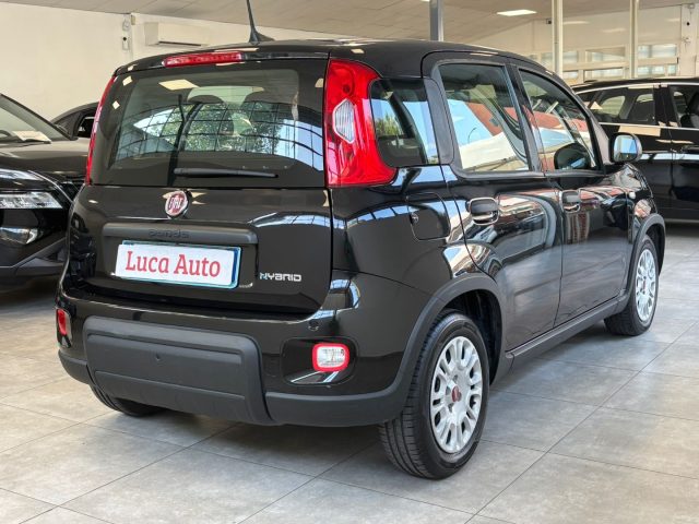 Fiat Panda 1.0 FireFly S&S Hybrid *UNICO PROPRIETARIO* - foto 4 di 4