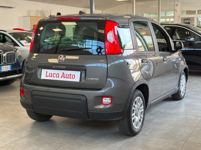 Fiat Panda 1.0 FireFly S&S Hybrid *UNICO PROPRIETARIO* - foto 4 di 4