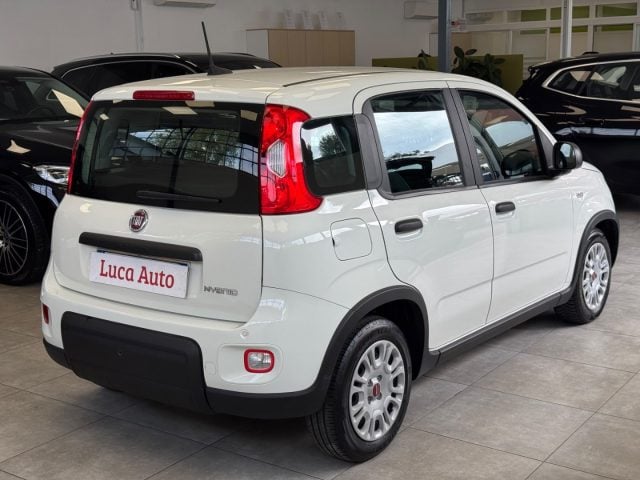 Fiat Panda 1.0 FireFly S&S Hybrid *UNICO PROP.*5 POSTI* - foto 4 di 4