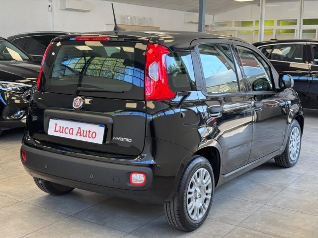 Fiat Panda 1.0 FireFly S&S Hybrid *UNICO PROP*DIGITAL COCKPIT - foto 4 di 4