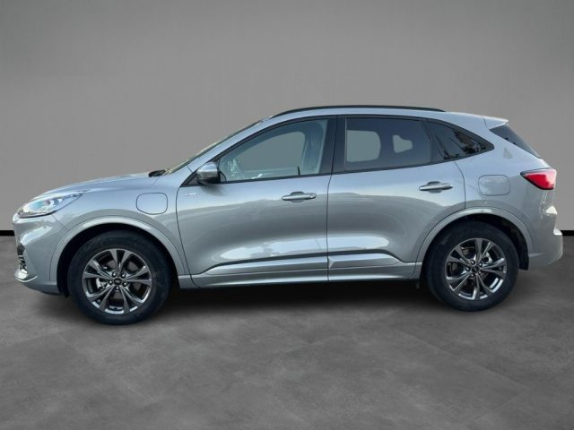 Ford Kuga 2.5 Plug In Hybrid 225 CV CVT 2WD ST-Line - foto 2 di 4